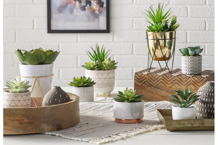 The Ultimate Guide To Planter Sizes Wayfair